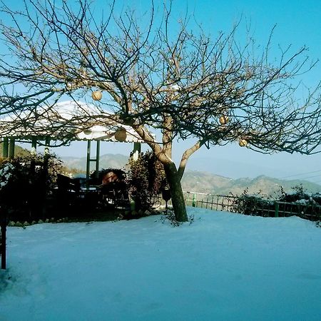 The Swiss Village Resort Nainital Esterno foto
