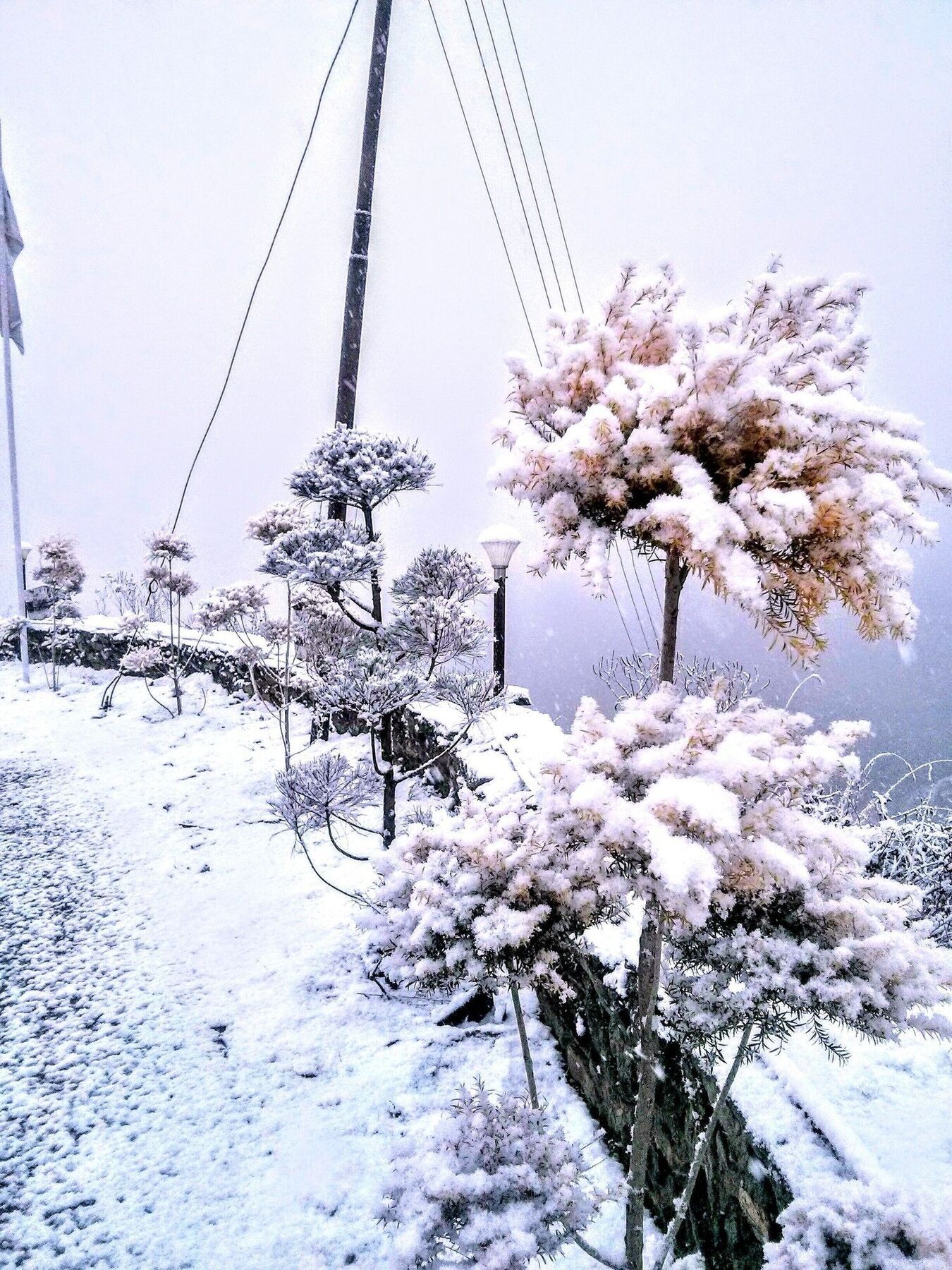 The Swiss Village Resort Nainital Esterno foto